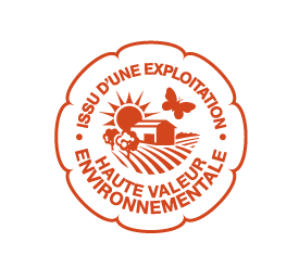 logo issueHVEpng